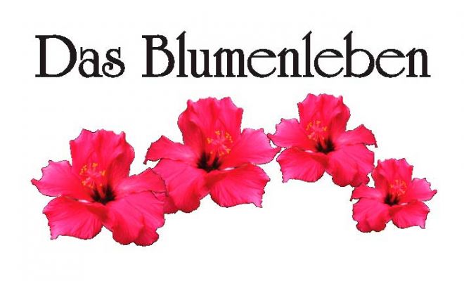 Logo Das Blumenleben